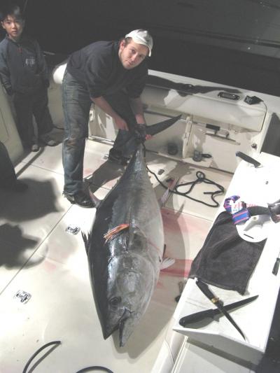 230lb bluefin caught off Sydney